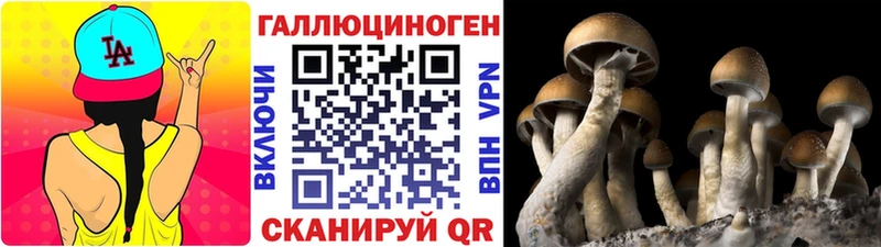 Псилоцибиновые грибы мицелий  наркотики  hydra ССЫЛКА  Беломорск 