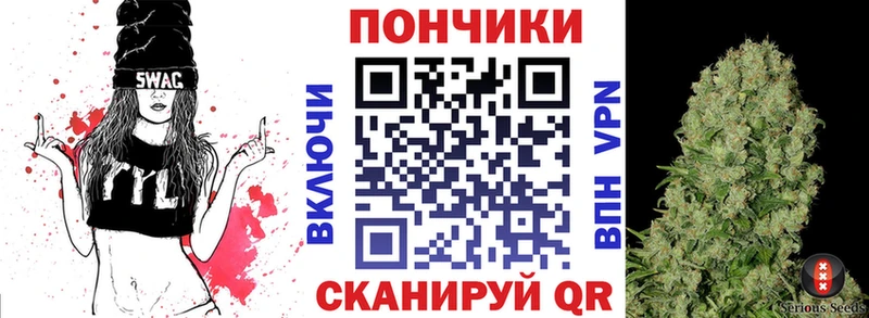 где можно купить Беломорск Бошки Шишки сатива
